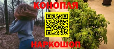 молекула духа Донецк