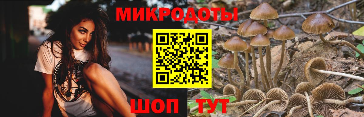 Минусинск  Галлюциногенные грибы ЛСД  Вход с VPN 